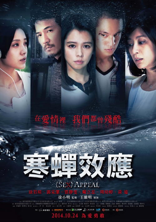 公证书能查询吗